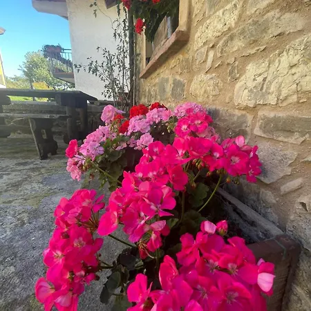 La Casa Di Bianca Bed & Breakfast Collagna