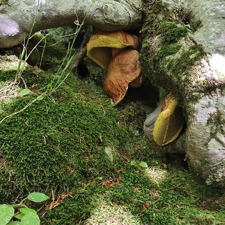 La Casa Di Bianca Bed & Breakfast 3*