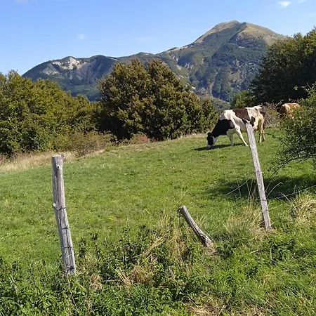 La Casa Di Bianca - Intero 3*