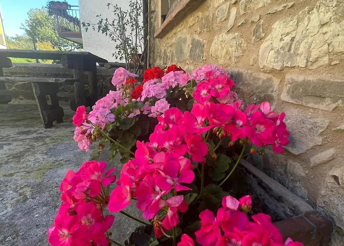 La Casa Di Bianca - Intero فندق مبيت وإفطار Collagna