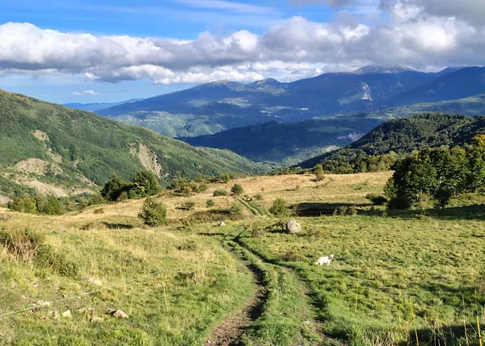 فندق مبيت وإفطار La Casa Di Bianca - Intero