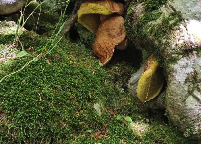 La Casa Di Bianca - Intero فندق مبيت وإفطار 3*