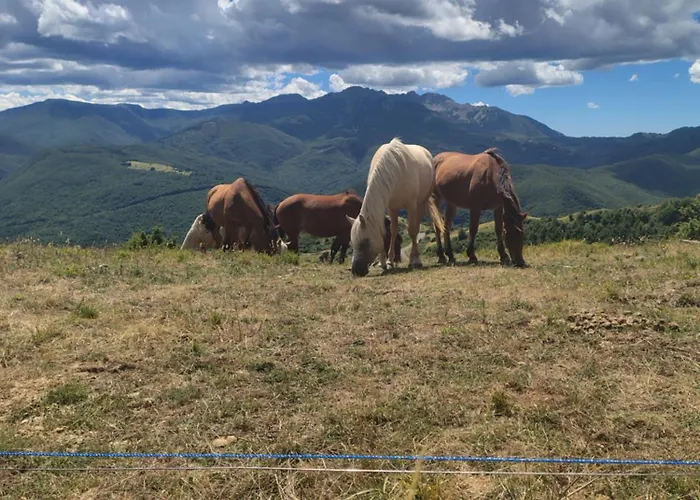 La Casa Di Bianca - Intero