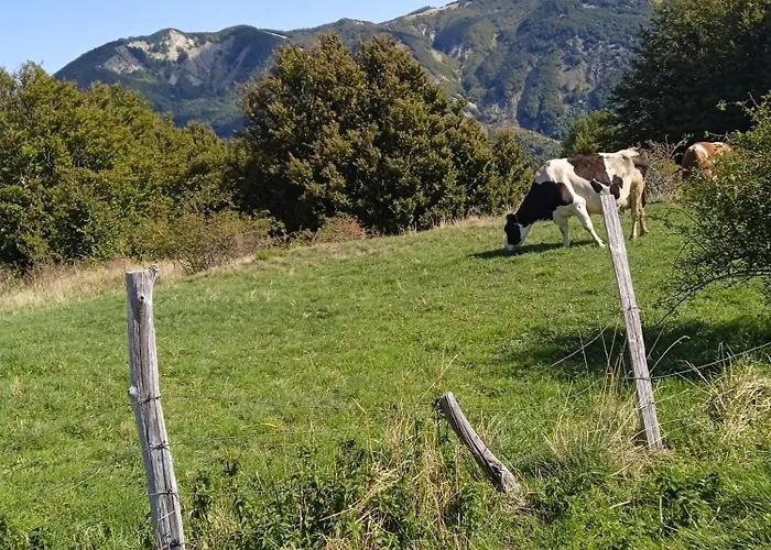 La Casa Di Bianca - Intero 3*